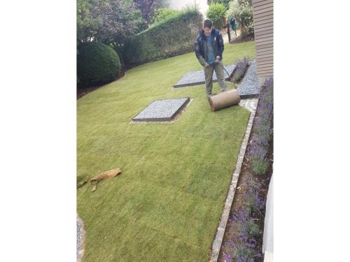 Aménagement de jardin - Engazonnement 